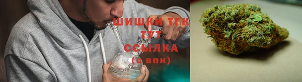 ГАЛЛЮЦИНОГЕННЫЕ ГРИБЫ Алексеевка