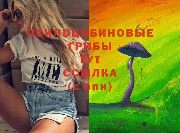 ГАЛЛЮЦИНОГЕННЫЕ ГРИБЫ Алексеевка