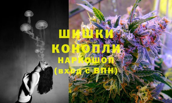 ГАЛЛЮЦИНОГЕННЫЕ ГРИБЫ Алексеевка