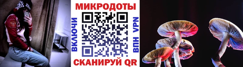 Галлюциногенные грибы MAGIC MUSHROOMS  Берёзовский 